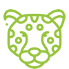 Human-Leopard Interaction in/near forests